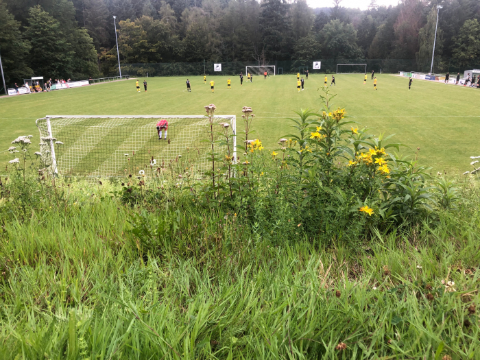 3:2 Sieg gegen Plittersdorf