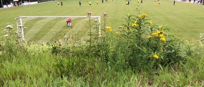 3:2 Sieg gegen Plittersdorf