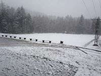 FV Baden Oos - SVS 6:4