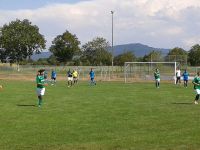 SVS siegt in Niederbühl