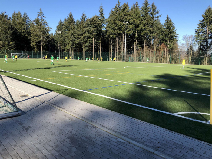 SVS - Frankonia Rastatt 4:4