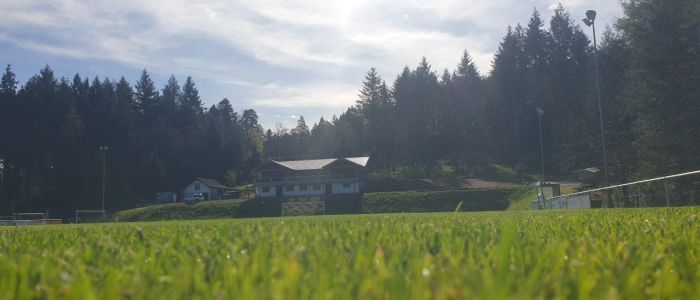 Spendenaktion Auwiesengelände