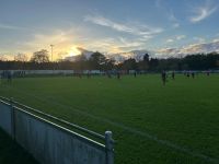 Negativtrend setzt sich fort